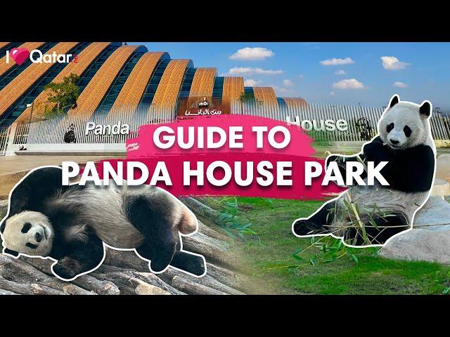 Meet Suhail & Thuraya at the Panda House Park in Qatar!