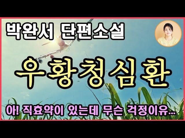 박완서단편소설[우황청심환] 어떻게 아내를 위로할 것인가. 첫 포옹처럼 가만가만 아내를 안았다. 그리고 가슴을 열고 서로의 상처를 조심스럽게 맞댔다. 나에게도 상처가 있다오.