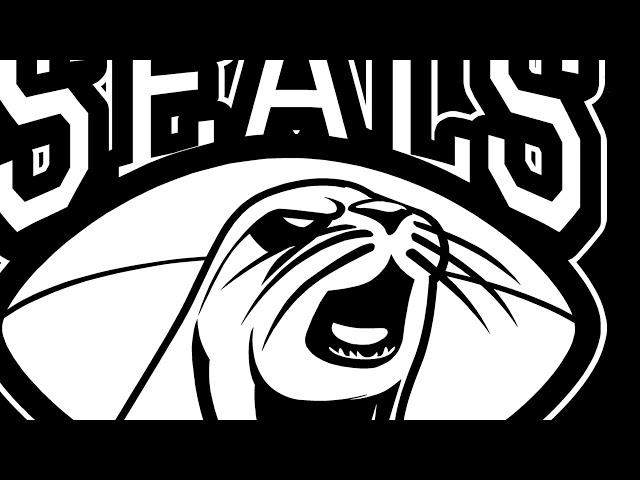 South Coast Seals - Living the dream