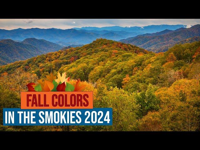 Fall Colors in the Great Smoky Mountains National Park 2024