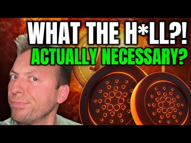 CARDANO ADA - WHAT THE H*LL JUST HAPPENED?!! WAS THIS NECESSARY?!