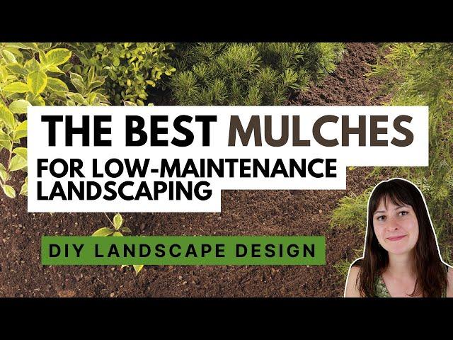 What is the best mulch to use? 🪴 How to choose a mulch for low maintenance landscaping projects