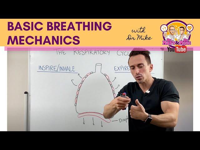 Basic Breathing Mechanics