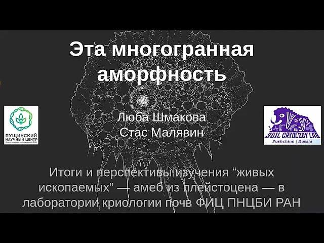 Итоги и перспективы изучения амеб из плейстоцена. Часть 2. Стас Малявин, ФИЦ ПНЦБИ РАН, 17.04.2020