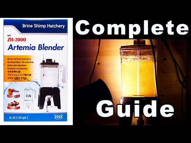 Ziss Brine Shrimp Hatchery Set Up: How to Raise Live Baby Brine Shrimp for Your Fish!