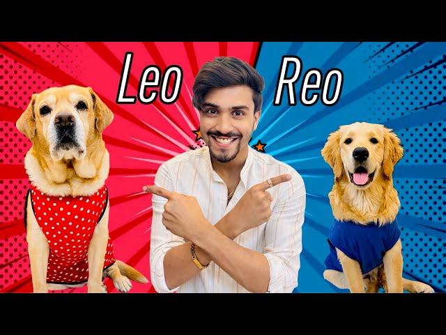 Leo Vs Reo | Who will win? | Anant Rastogi