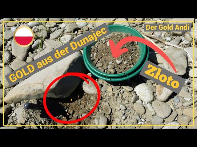 GOLD aus der Dunajec  | Goldwaschen in Polen | Der Gold Andi | szukam Złota