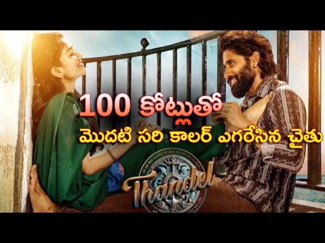 మొదటిసారి కాలర్ ఎగరేసిన నాగచైతన్య! Thandel Movie Box Office Collection Update | 100 Cr #Collection