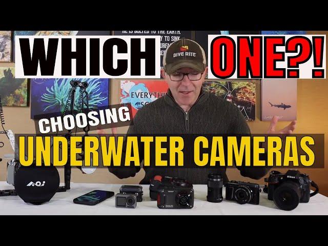 Best Cameras for Underwater Photography