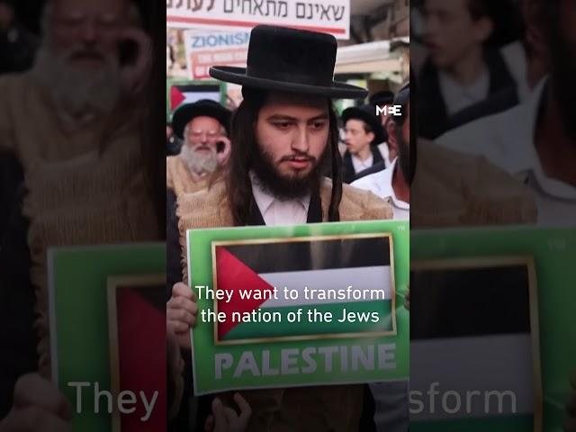 Anti-Zionist Orthodox Jews rally against Israel in Jerusalem