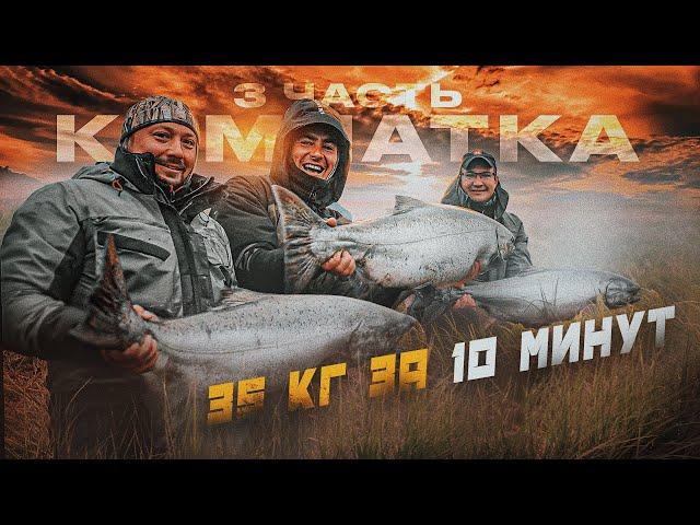 35 кг рыбы за 10 минут. ТАК БЫВАЕТ?? Камчатка, 3 часть