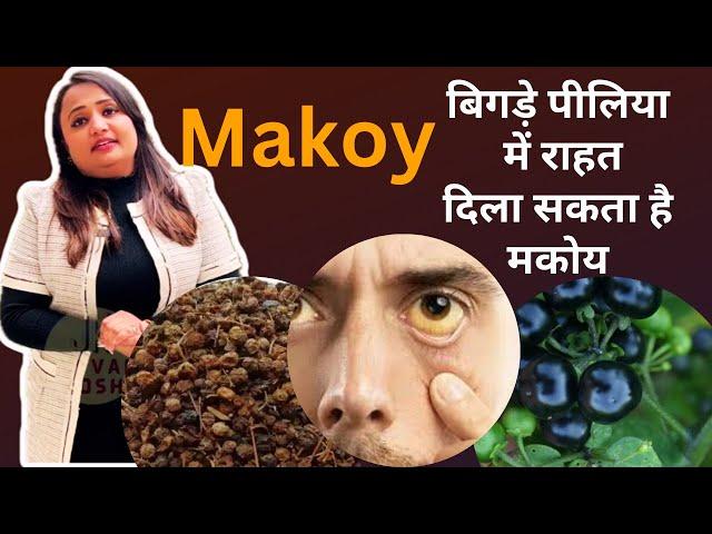 Ayurvedic Benefits of Makoy मकोय सिर्फ आपके गार्डन की खूबसूरती ही नहीं सेहत भी सवारता है Jeevan Kosh