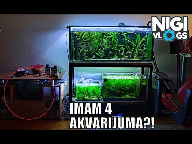 Akvarijumi Update - U Kakvom Sam Stanju Sa Akvaristikom? #nigivlogs #akvaristika #akvarijum