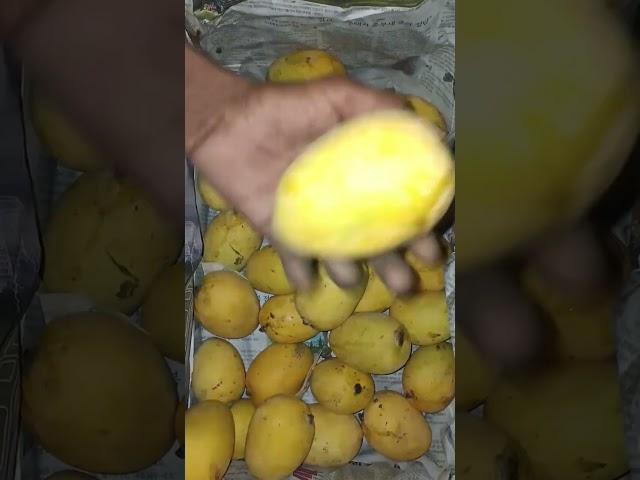 Beuti Off Anwar Ratoor Mango Pakistani sweet Mango 