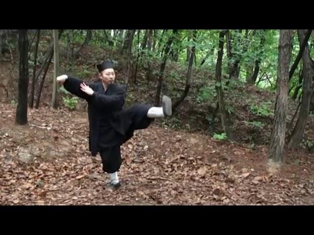 Tai Chi Chuan 108 First Section - Wudang San Feng Pai Grandmaster Zhong Yunlong