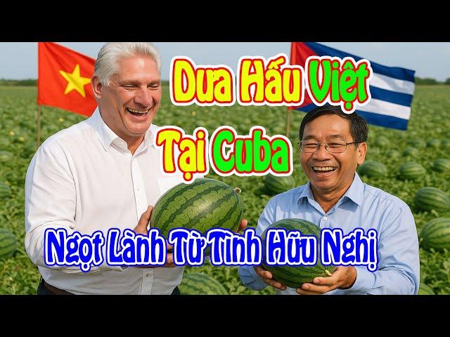 Dưa Hấu Việt Trồng Ở Cuba: Ngọt Lành Từ Tình Hữu Nghị