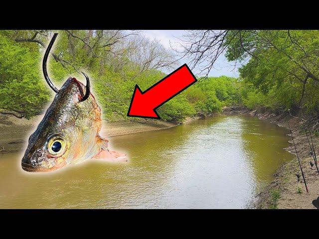 THIS IS WHY YOU USE BIG SHAD IN TEXAS RIVERS! (UNEXPECTED CATCH!)