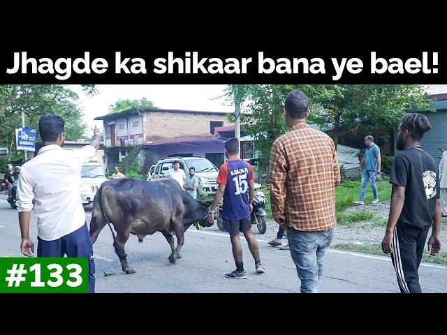 Jhagda karna pada bhaari! | Peepal Farm Update #133