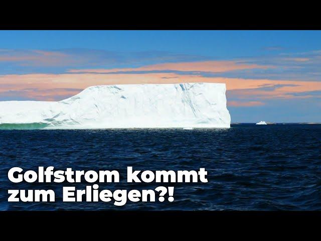 Droht Eiszeit in Europa? - Bringt Klimawandel Golfstrom zum erliegen? - Clixoom nature