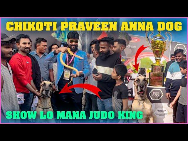 Chikoti Praveen Anna Dog Show Lo Mana Judo King | Pareshan family