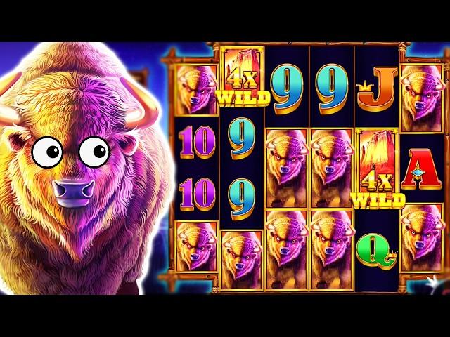 MY RECORD BREAKING WIN  NEW BUFFALO KING UNTAMED MEGAWAYS SLOT‼️