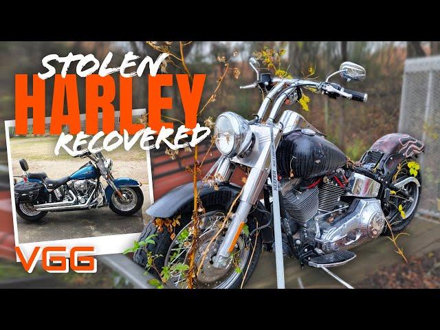 ABANDONED-STOLEN-RECOVERED! Will This HARLEY DAVIDSON Run and Ride Again After YEARS?