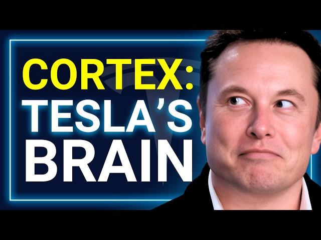 Elon Musk’s Master Plan for AI, Cortex Revealed