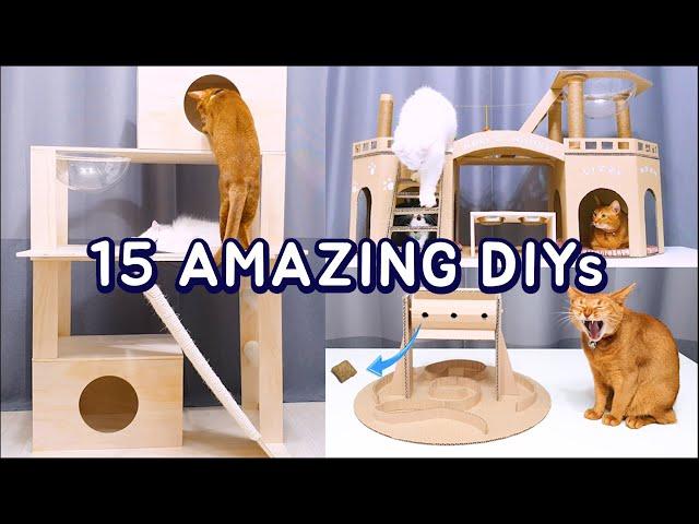 15 Amazing DIY Ideas for Your Cat #2