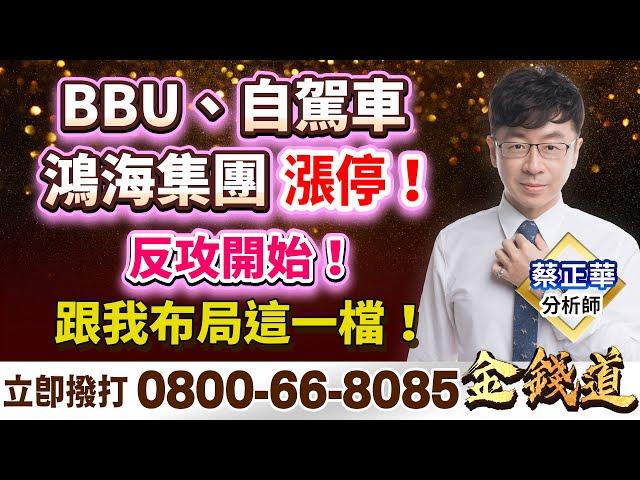 【BBU、自駕車、鴻海集團漲停！反攻開始！跟我布局這一檔！】金錢道 蔡正華分析師 2024.11.19