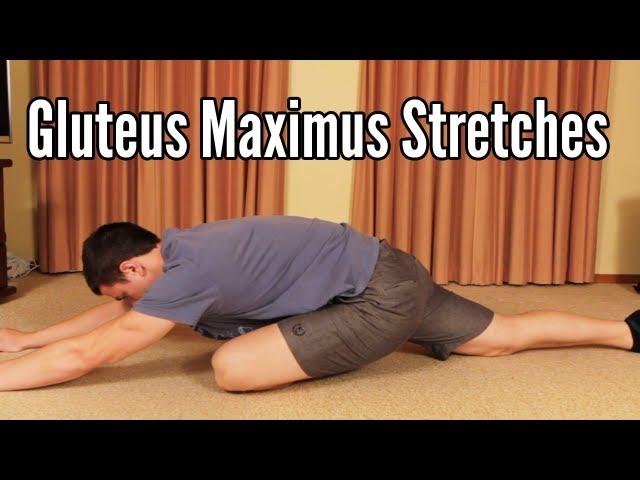 Gluteus Maximus Stretches: Glute stretching