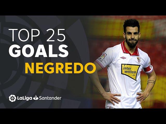 TOP 25 GOALS Álvaro Negredo in LaLiga Santander