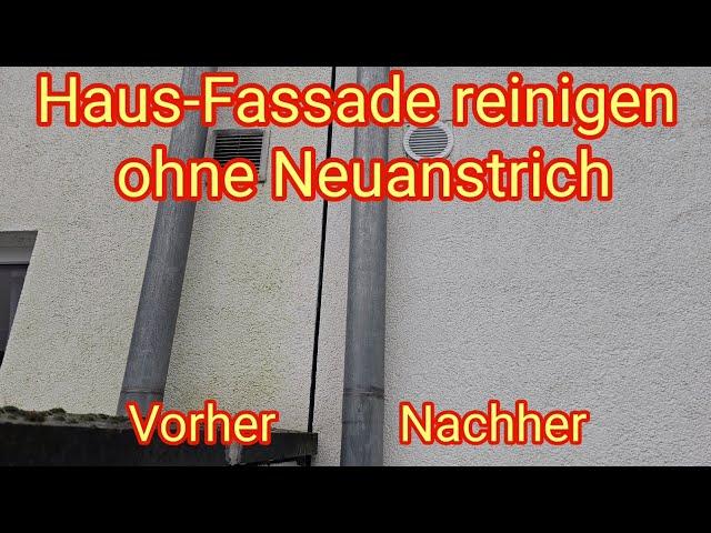 Haus-Fassadenreinigung ohne Neuanstrich - Grünbelag entfernen, Grünbelagentferner, Algenentfernung