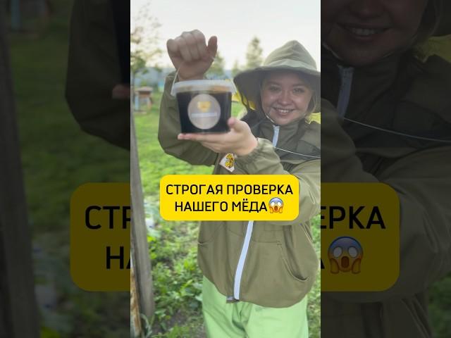 Прошел мёд проверку или нет ? #пасека #мёд #деревня #пчелы #пасекагатуповых #жизнь #работа #дача