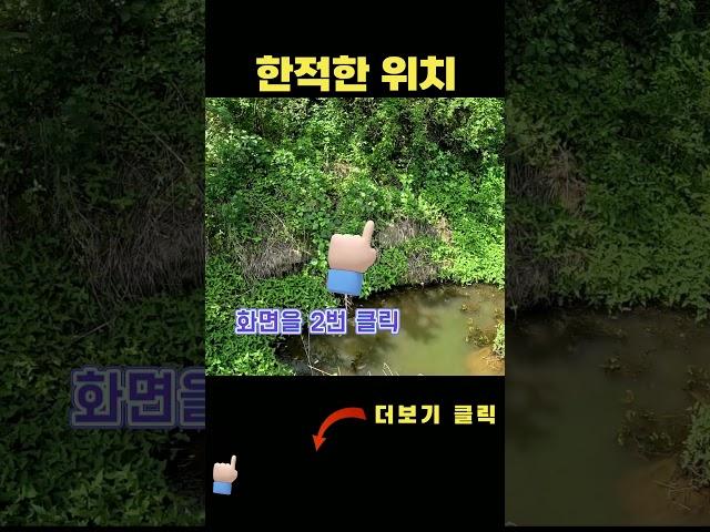 산 중턱 골짜기 계곡물 흐르는 토지매매 연못 전기 설치 포장도로접 전원주택 짓기 다용도 활용 가능한 계획관리지역 괴산군 감물면 오성리 717평 평당16만원 토목 완료된 평평한 땅