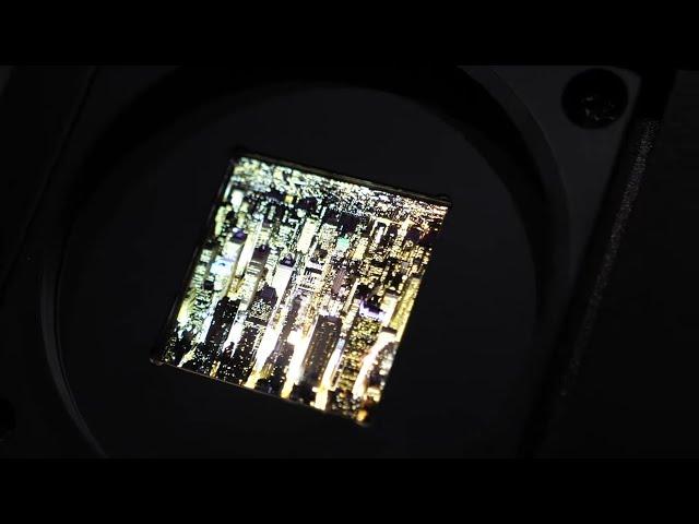 LG 4Kx4K micro OLED "World's Best micro OLED" at Diplay Week 2024, Top VR, Light Field micro Display