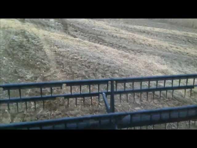 Harvesting Soybeans. International 1440 Axial Flow Combine