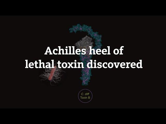 Achilles heel of lethal toxin discovered - Rongsheng Jin | UCI School of Medicine