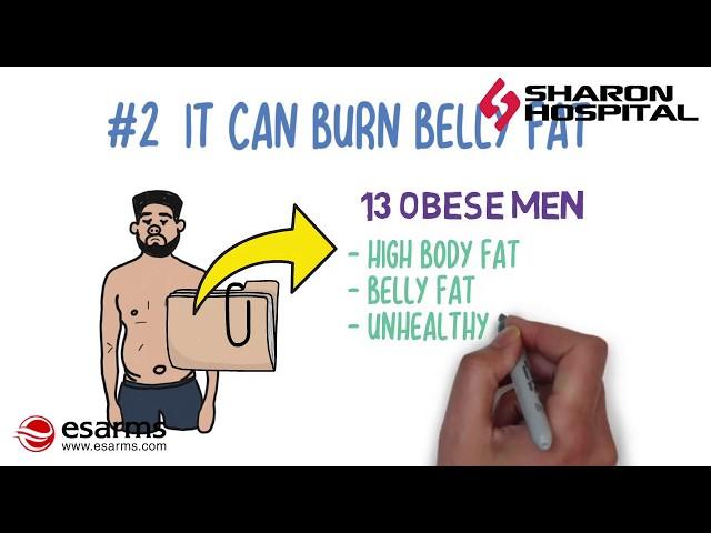 Cardarine (GW501516) - 8 Reasons Why It's Used As Fat Burner