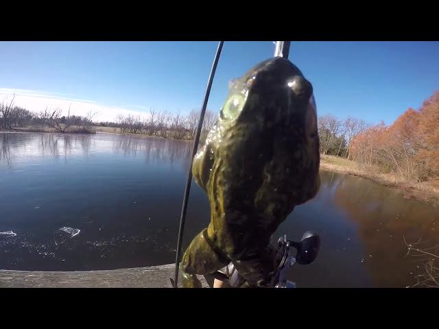 KGB Swimbaits KGBullfrog