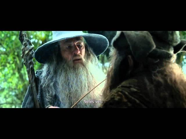 Radagast, pipe smoking scene