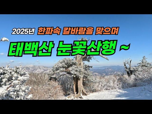 한파속 태백산 눈꽃산행, 화방재에서 문수봉,당골코스/강릉산악회 새해 첫 산행!