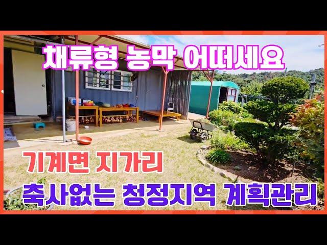 1433 포항 기계면 지가리 전원주택지 계획관리지역 - 체류형쉼터 추천 포항부동산 포항주말농장 @강산부동산TV