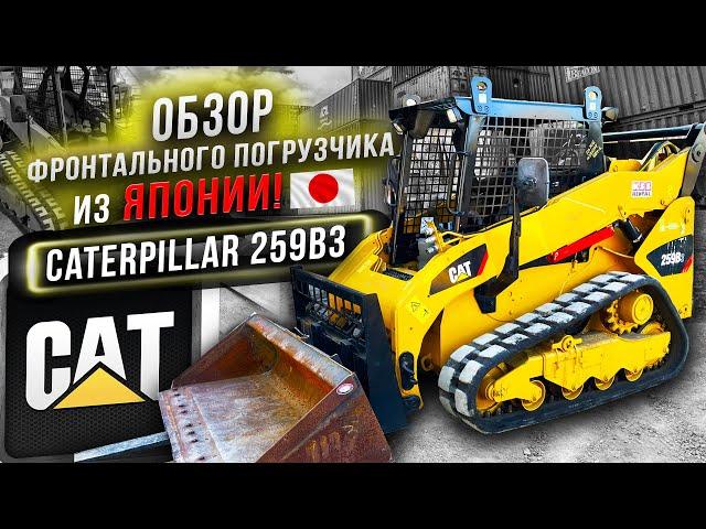 Caterpillar 259B3. Обзор фронтального погрузчика. Спецтехника из Японии.