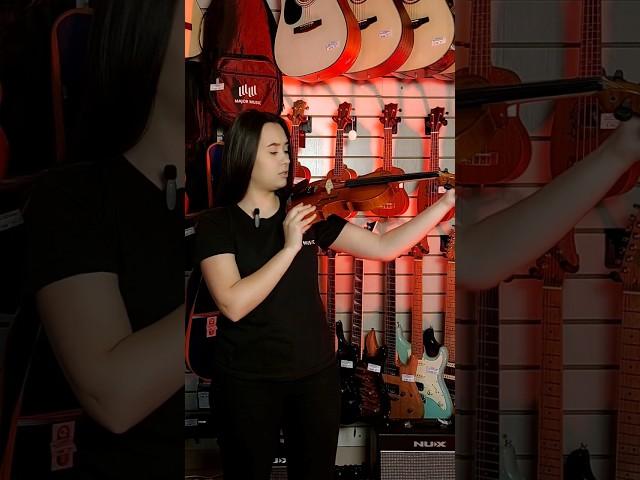 Как выбрать скрипку новичку? #музыкальныймагазин #majormusic #скрипка #полезно #советы #интересно