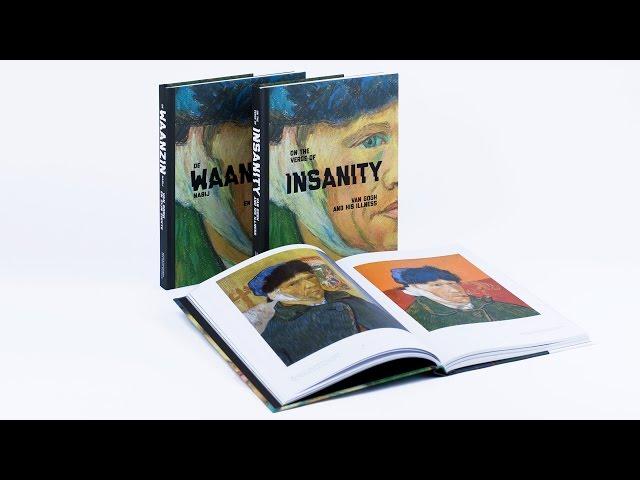 On the Verge of Insanity, Van Gogh and his illness