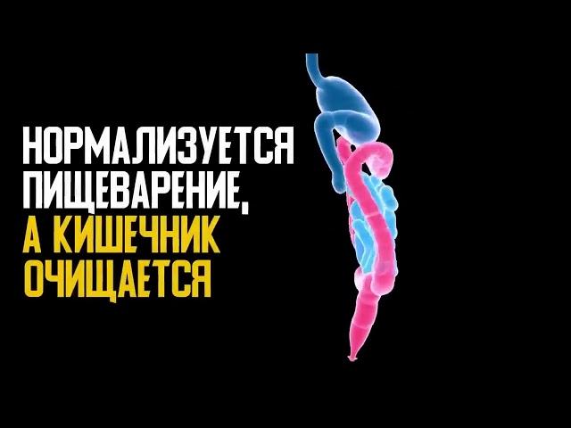 14 продуктов, в которые влюблена ПОДЖЕЛУДОЧНАЯ ЖЕЛЕЗА, Как лечить поджелудочную!