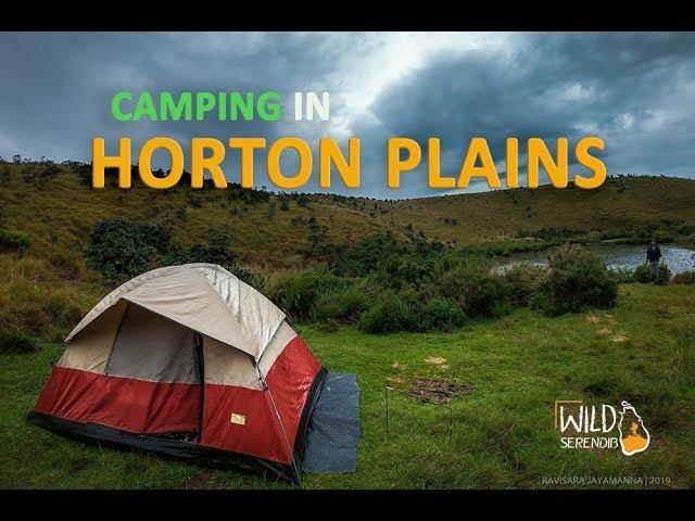 Camping in Horton Plains National Park , Srilanka | Wild Serendib