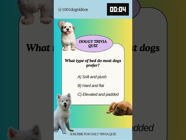 Daily Dog trivia quiz #puppy #dog #doglover #yourdog #dogtrivia #dogchallenge #dogchannel