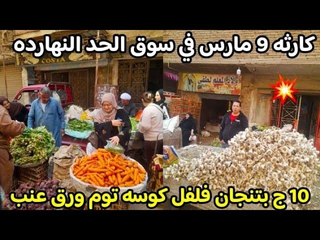 انخفاض تاريخي معقوله 10 ج الباذنجان والفلفل كوسه وورق العنب والسمك ولحمه را س كوارع  ممبار فشه صدمه