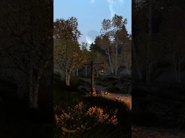 It's getting late #skyrimambience #skyrimmods #skyrimmodsxbox #skyrimshorts #asmr #nature